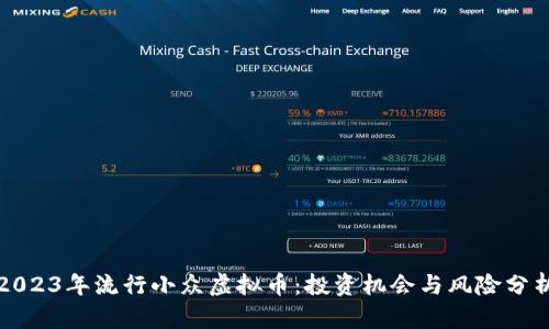 2023年流行小众虚拟币：投资机会与风险分析