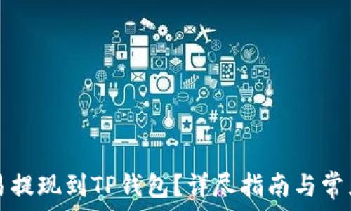   
如何将欧易提现到TP钱包？详尽指南与常见问题解析