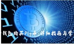 如何使用TP钱包购买Pig币：详细指南与常见问题解