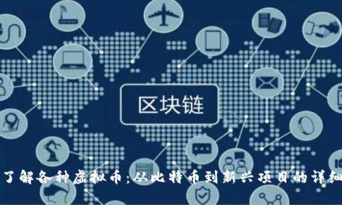 全面了解各种虚拟币：从比特币到新兴项目的详细解析
