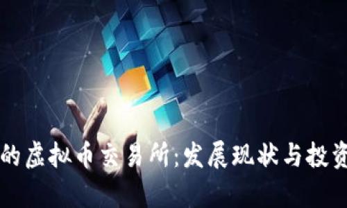 萨尔瓦多的虚拟币交易所：发展现状与投资机会分析