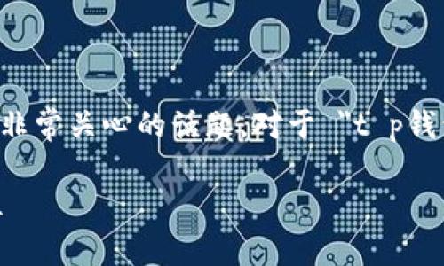 在许多数字货币和区块链生态系统中，钱包地址的管理是用户非常关心的话题。对于 