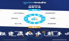 如何有效发现和投资虚拟币：新手必读的全方位