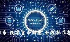 小猪虚拟币：数字货币新宠，如何抓住投资机遇