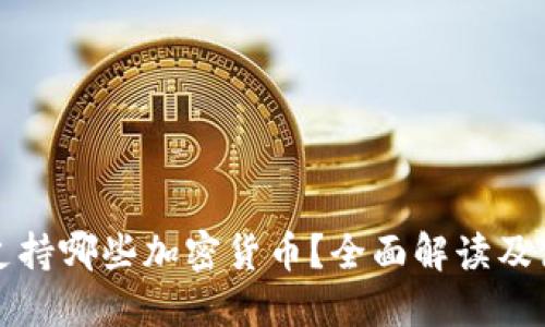 TP钱包支持哪些加密货币？全面解读及使用指南