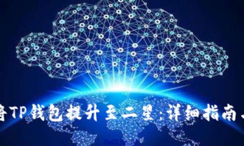 如何将TP钱包提升至二星：详细指南与技巧