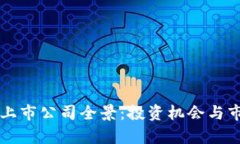 美国虚拟币上市公司全景：投资机会与市场前景