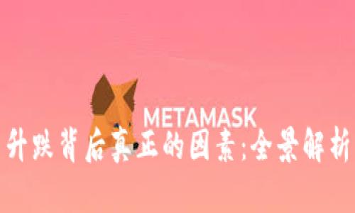 揭示虚拟币升跌背后真正的因素：全景解析与投资策略