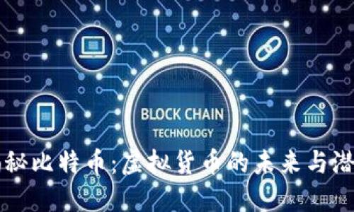 揭秘比特币：虚拟货币的未来与潜力