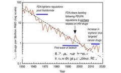 虚拟币的未来：从热潮到低迷，全球市场的变迁