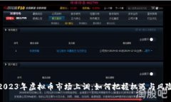 2023年虚拟币市场上调：如何把握机遇与风险