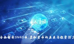 全面解析SNGS币：虚拟货币的未来与投资潜力