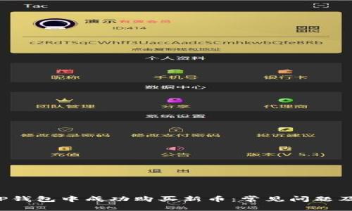  如何在TP钱包中成功购买新币：常见问题及解决办法