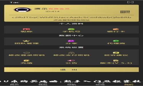 虚拟币U币购买攻略：新手入门及投资技巧详解