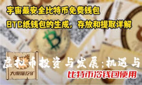 海南虚拟币投资与发展：机遇与挑战